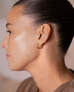 gold / 10